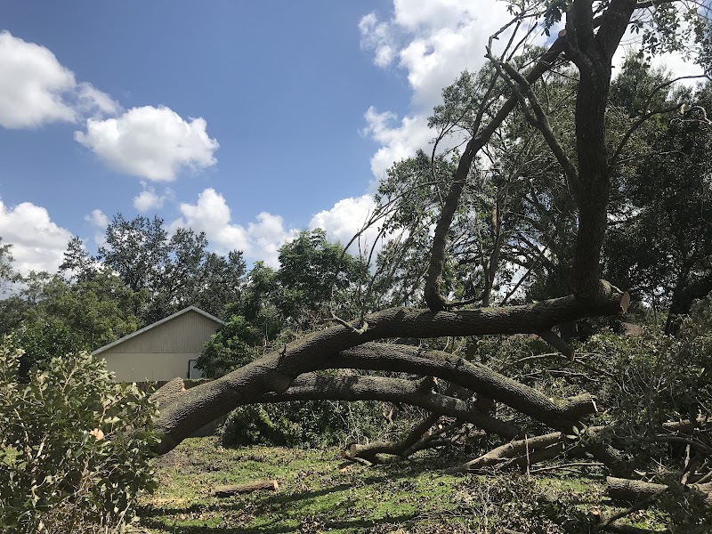 Nations Landscaping, LLC work photo 6